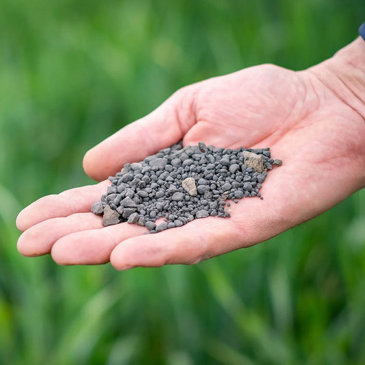 Technologia BIOROL – innowacja, która ożywia glebę 🌱